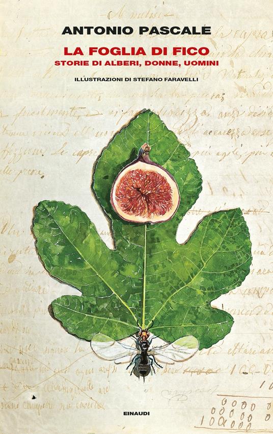 la Foglia