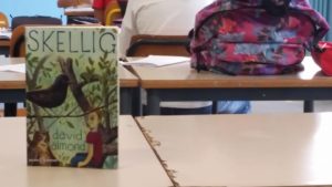 FelicitaIacobone_skellig