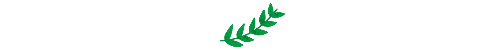 spaziodante